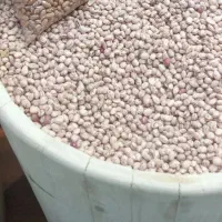 بسته بندی انواع حبوبات