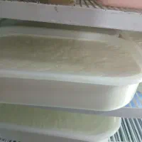 جامش سوتی آلرام