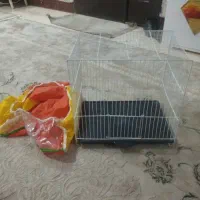 قفس