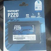 SSD 1TB P220