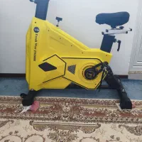 دوچرخه ثابت فرش وی ۸۰۰۰