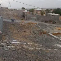زمین نخلستان . محمود آباد ۲۵۰ متر