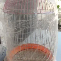 قفس پرنده