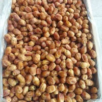 زاهدی پشتکوه