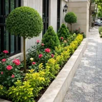 خدمات باغبانی گل کاری هرس کاری تعویض خاکگلدان