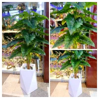 درخت مصنوعی خارجی بابا ادم و...