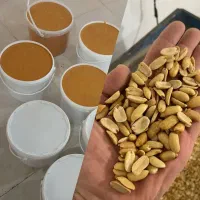 تولید کره بادام زمینی آستانه(با بادام محلی آستانه)