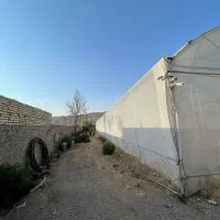 گلخانه صنعتی ۳۰۰۰ متری با تجهیزات کامل