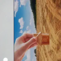 زمین برای فروش