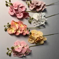 فروش گل های خارجی
