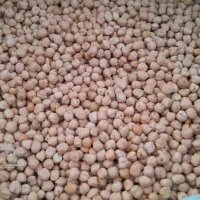 نخود آبگوشتی و فلافلی
