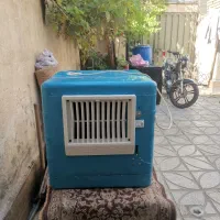 کولرابی رومیزی مدل ۲۸۰۰سالم فروشی درحد