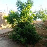 خانه ویلایی حاشیه جاده سنتو