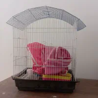 قفس عروس هلندی