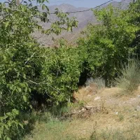 فروش باغ در دلفارد