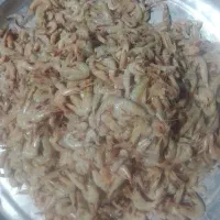 میگو
