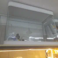 آکواریوم ۸۰سانتی شرکتی شیشه فلکسی