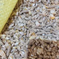 فروش انواع خوراک دام به صورت پودر پلت وآجیلی