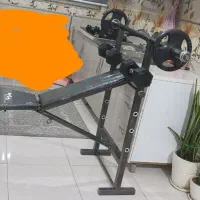 میز هالتر