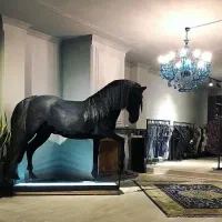 استخدام بلند مدت بانوان مدلینگ برند پوشاک مزونی