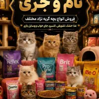 پت شاپ تام وجری میبد