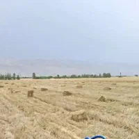 کاه گندم|لوازم جانبی حیوانات|لار, |دیوار