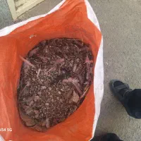 کود ضل کبوتر