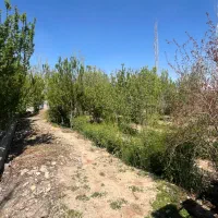 باغچه چاردیواری ۵۰۰ متری