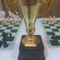 کاپ و جام ورزشی در ۶۰ مدل
