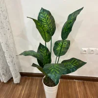 گل و گلدون نو