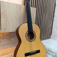 گیتار پارسی m2