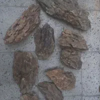 صخره آکواریوم