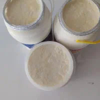 لبنیات تازه