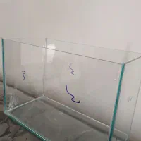 آکواریوم دونه ایی 300