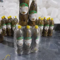 خیارشور بطری