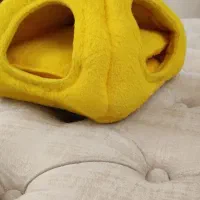 لانه طوطی و کیف حمل پرنده