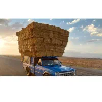 پرس گندم
