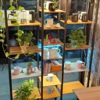 ویترین و شلف کتابخانه اکسسوری
