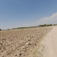 زمین-برای-ساخت-باغ-ویلا