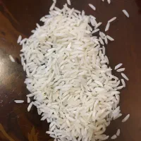 برنج طارم هاشمی برداشت امساله