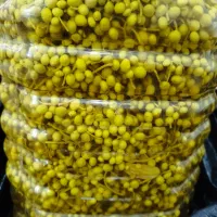 ترشی بنوشگ