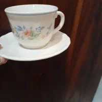 فنجان ارکوپال