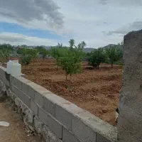 باغ در مرند