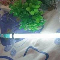 آکواریوم