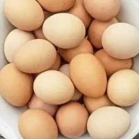تخم مرغ محلی از روستا میاد