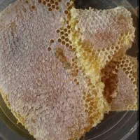 عسل طبیعی کوهی