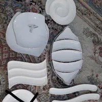 ظروف چینی