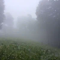 گروه طبیعت گردی