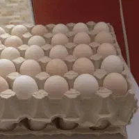 تخم مرغ محلی درشت دونه ای ۱۸ دوتا کارتن فعلا دارم