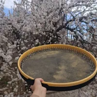 آموزش موسیقی دف دایره تنبک
